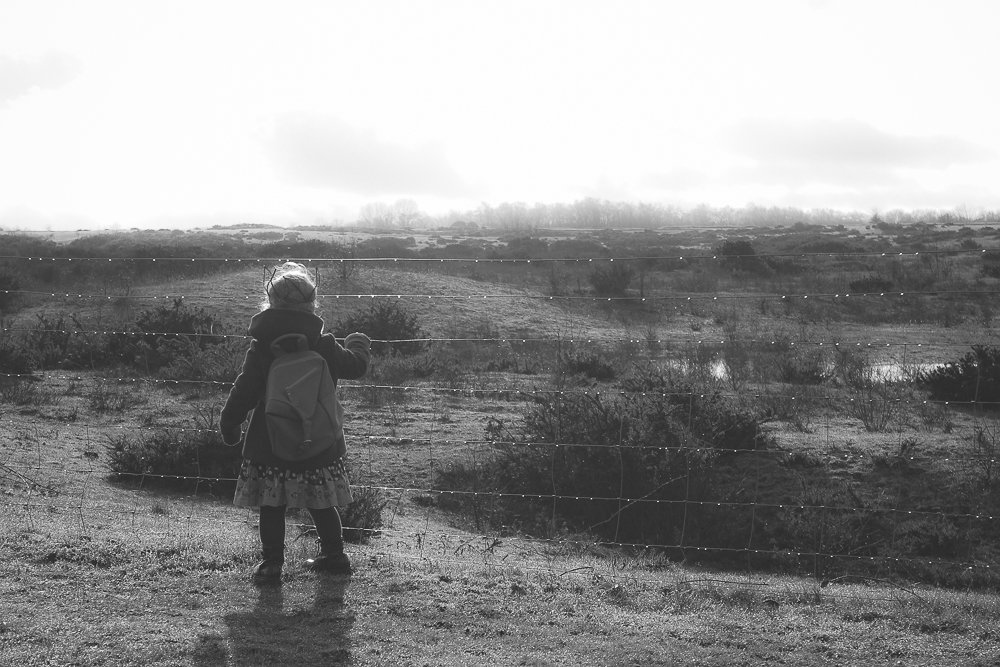 MySundayPhoto