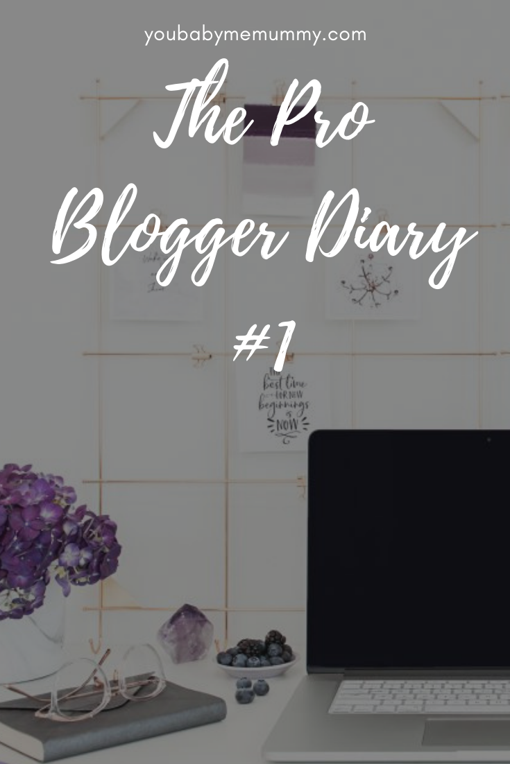 The Pro Blogger Diary #1