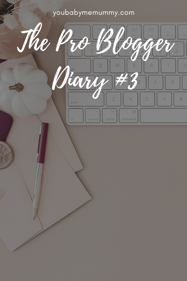 The Pro Blogger Diary #3