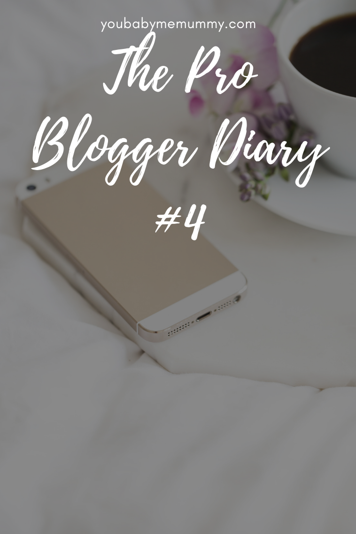 The Pro Blogger Diary #4