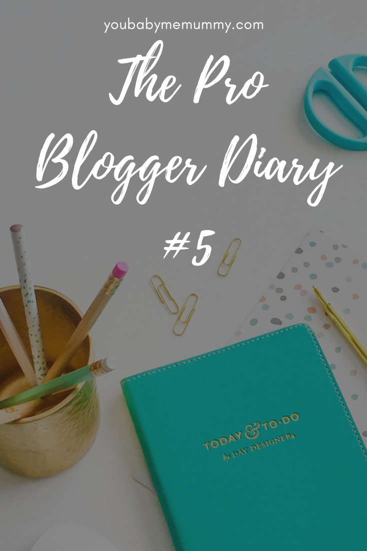 The Pro Blogger Diary #5