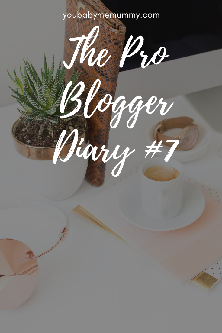 The Pro Blogger Diary #7