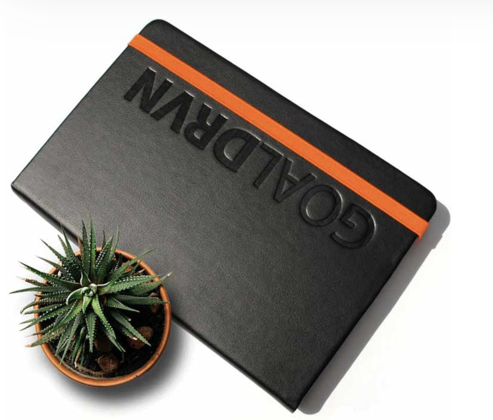 best planners for bloggers