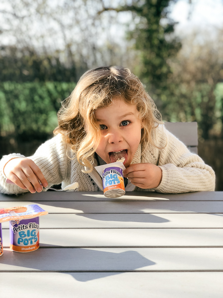 petits filous