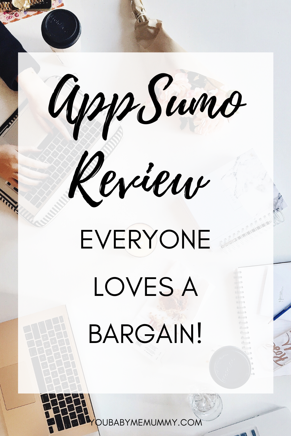 Small biz owner or entrepreneur/ LOVE A BARGAIN? check out this appsumo review